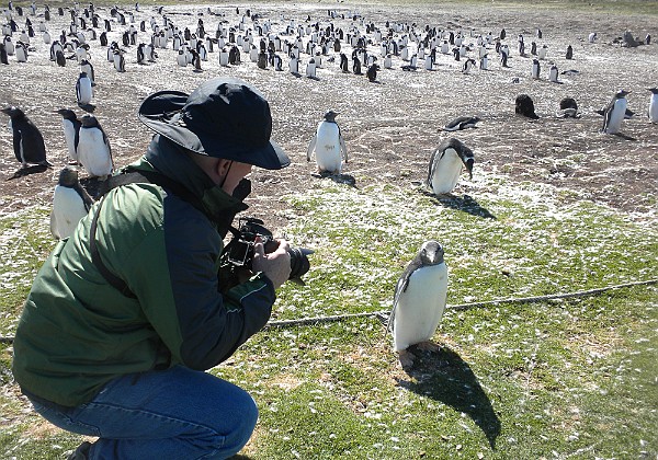 2013-03-02 Falkland Islands